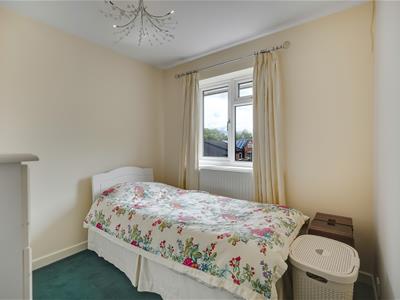 Picture 16